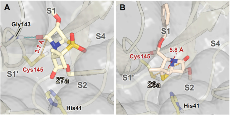 Fig. 10