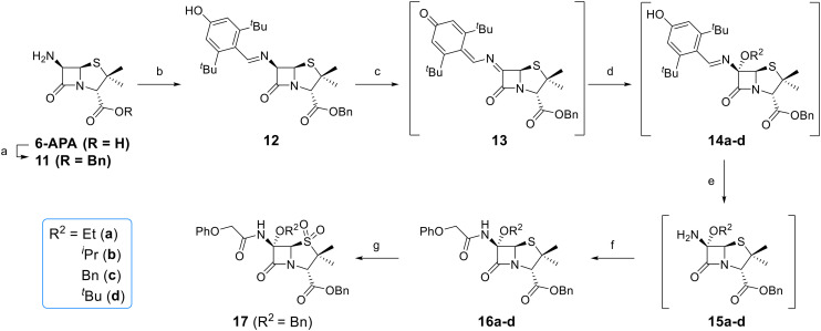 Fig. 5