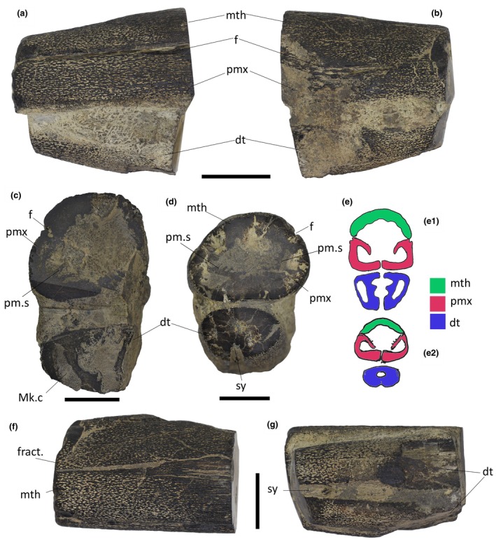 FIGURE 2
