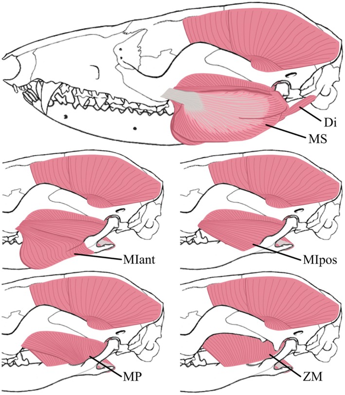 FIGURE 2