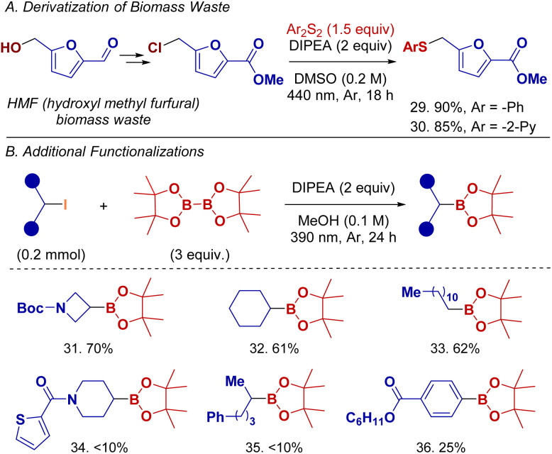 Scheme 6