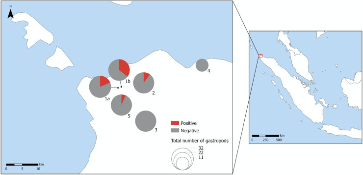 Fig 2
