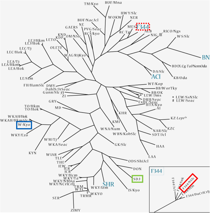 Fig 5