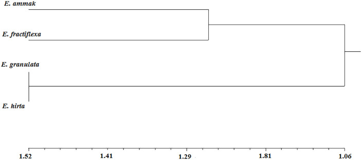 Fig 7