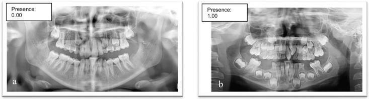 Fig 6