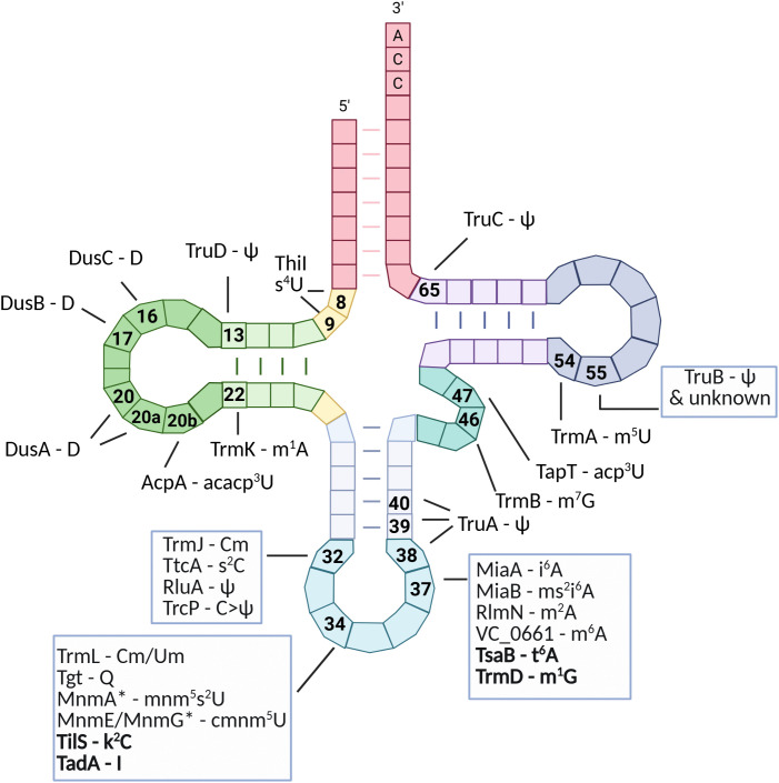 Fig 5