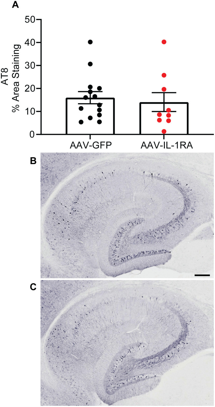 Fig 9