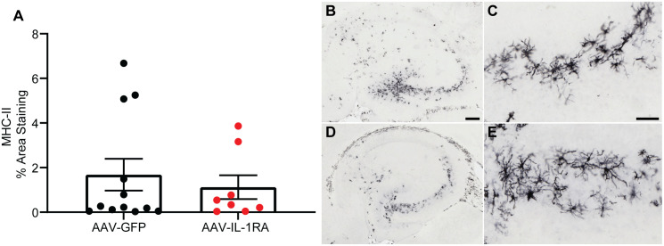 Fig 10