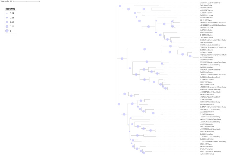 Fig 6