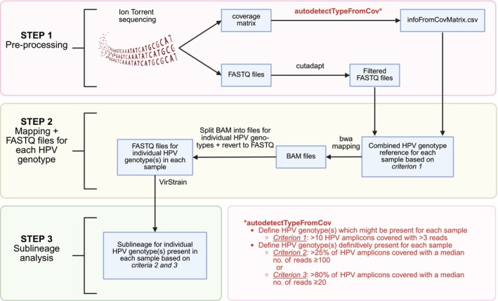 FIGURE 1