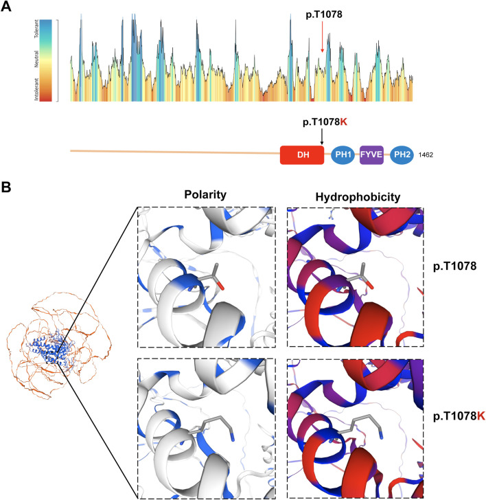 FIGURE 3