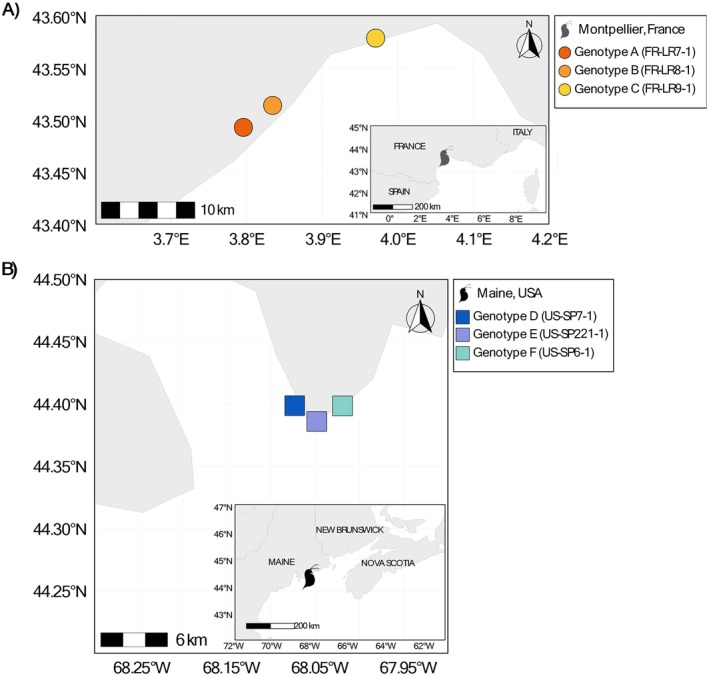 FIGURE 1