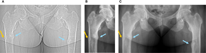 Figure 1