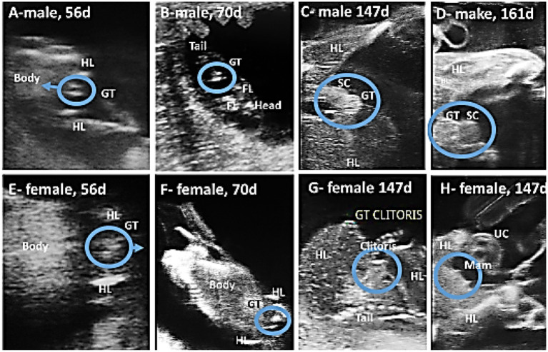 Figure 12
