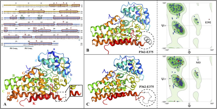 FIGURE 2