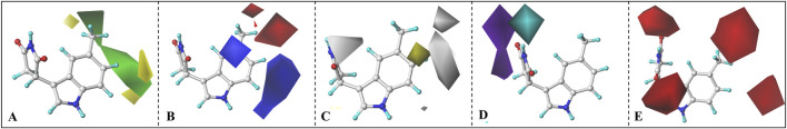 FIGURE 10