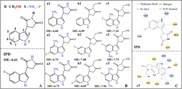 FIGURE 11