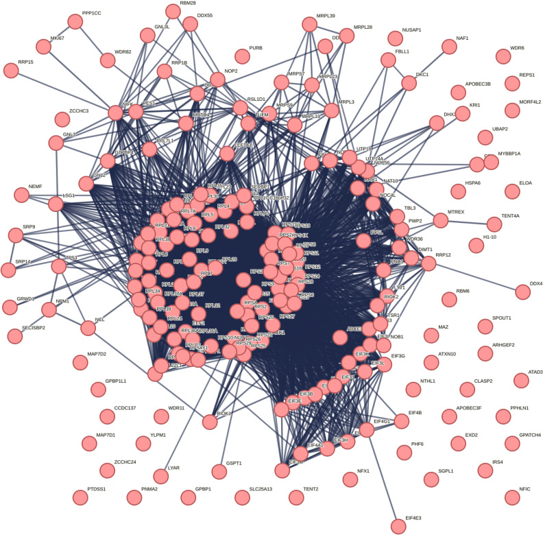 Figure S5