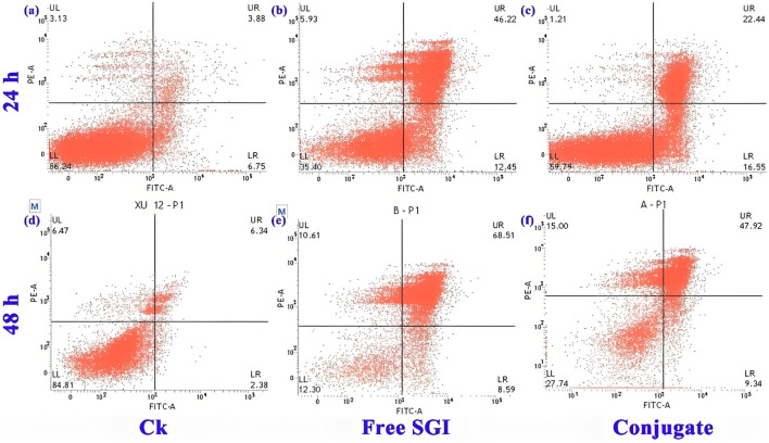 FIGURE 5