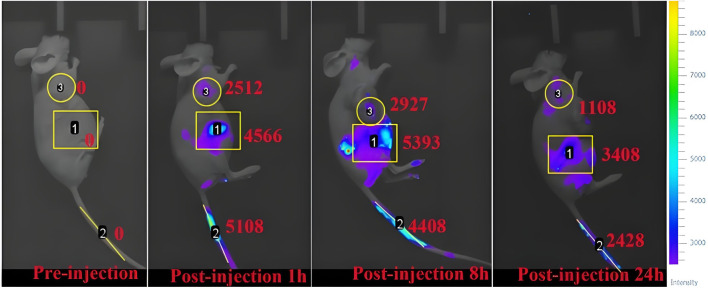 FIGURE 9