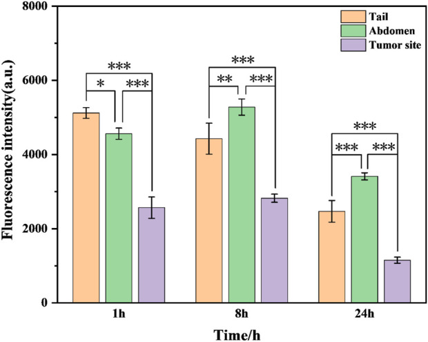 FIGURE 10