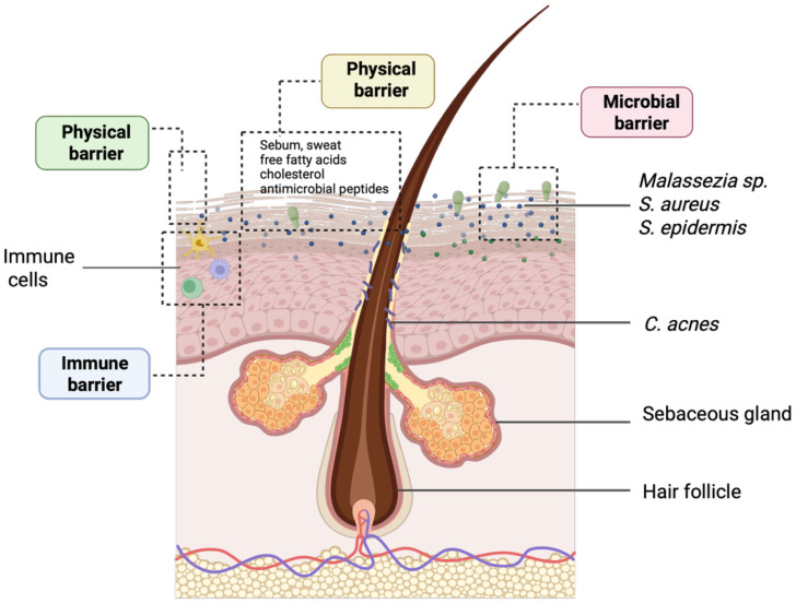 Figure 1