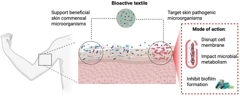 Figure 2