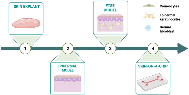 Figure 5