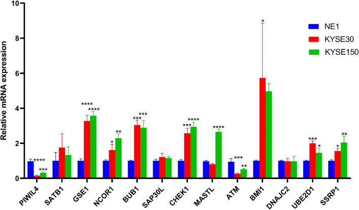 Figure 11