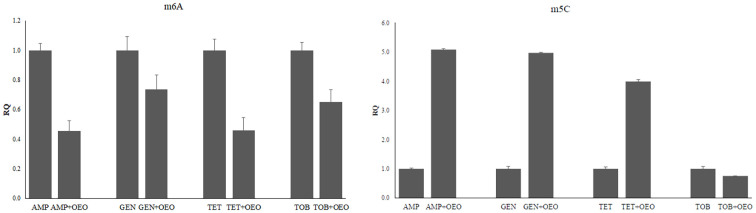 Figure 6