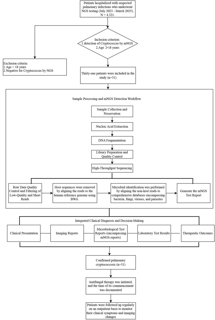 Figure 1
