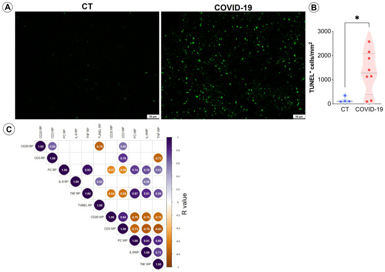 Figure 6