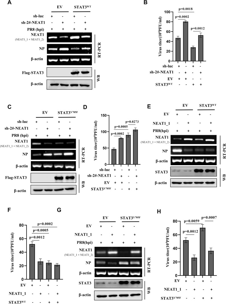 Figure 6