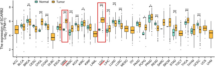 Figure 3