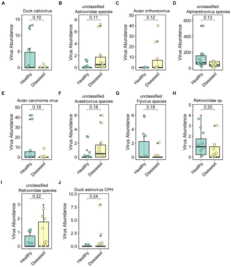 Figure 6