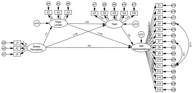 Figure 1