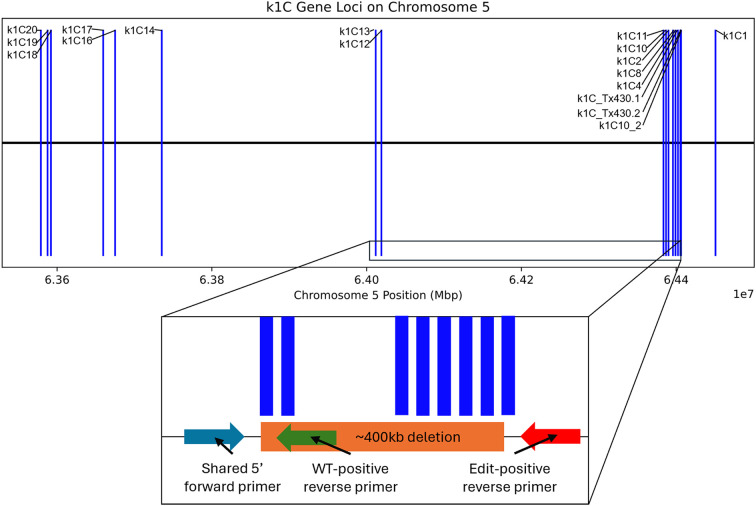 Figure 2