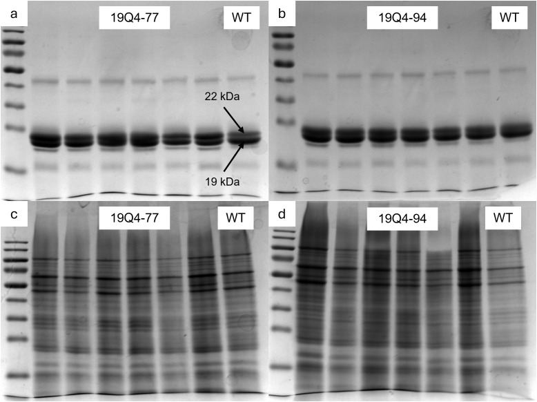 Figure 3