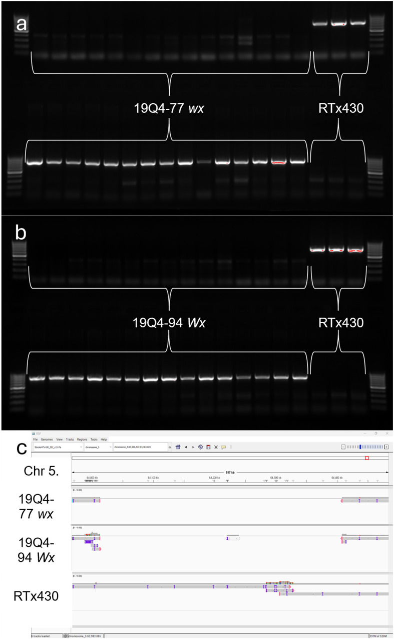 Figure 6