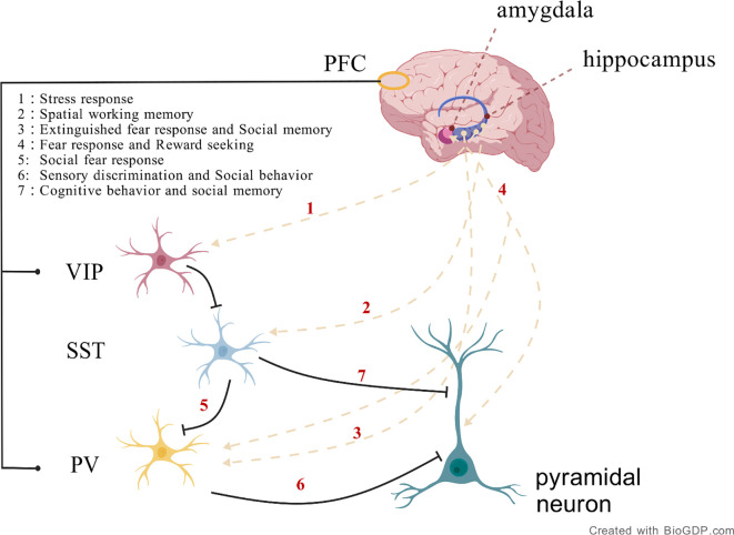 Figure 1