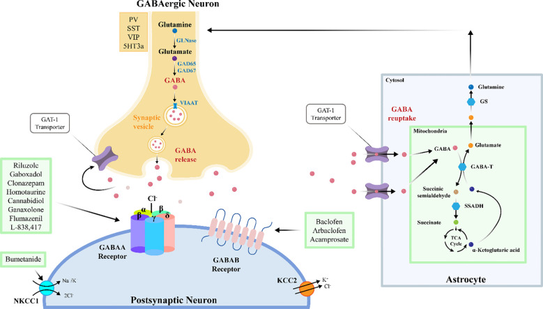 Figure 3