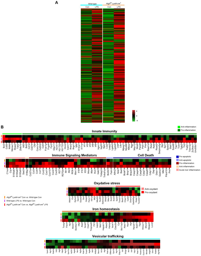 Figure 5