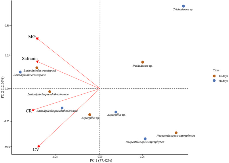 Figure 4