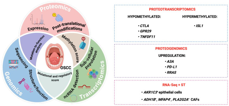 Figure 3
