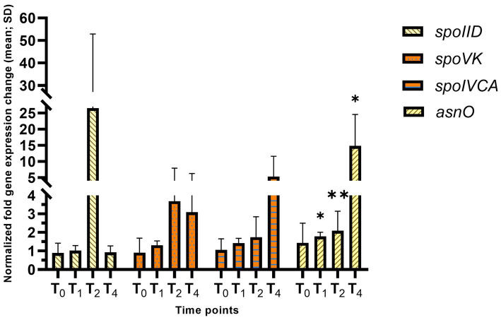 Figure 6