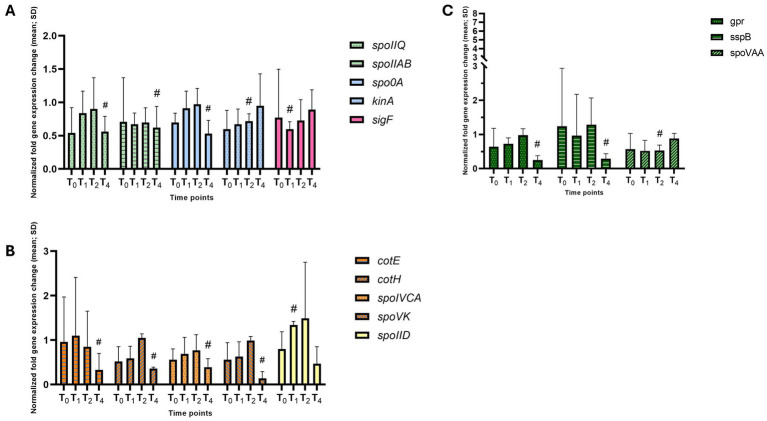 Figure 11