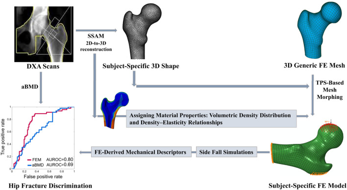 FIGURE 2