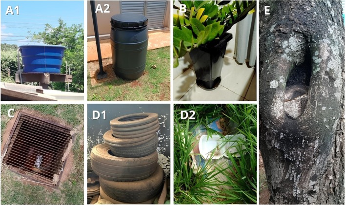 FIGURE 1