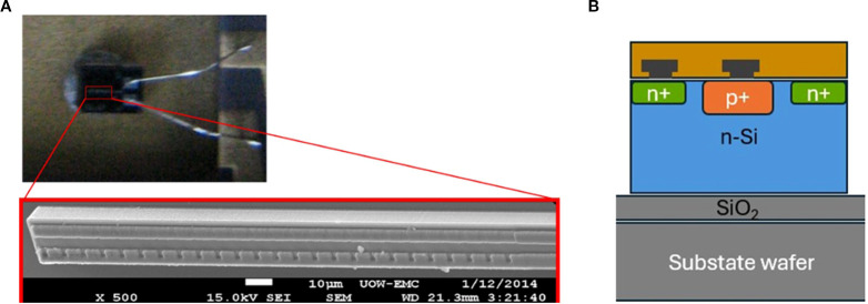 Figure 1