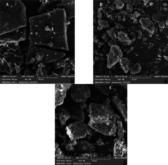 FIGURE 3